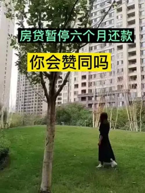 买房那些事 最新消息 房产知识分享 干货分享 房产咨询 分享房产知识